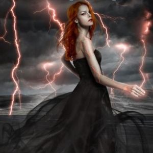 Niki by Niki Lavis Taffeta Mesh Overlay Gown